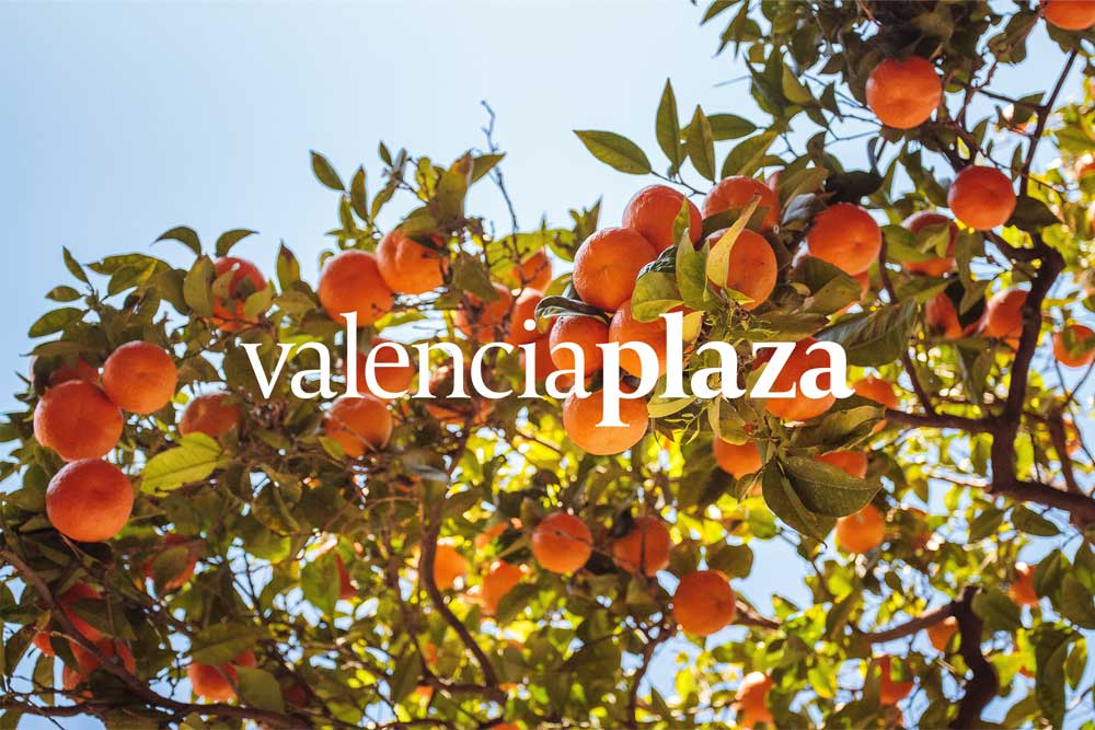 Valencia Plaza y Revista Plaza